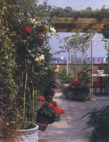 Fioriti, belli, eclettici: balconi come giardini